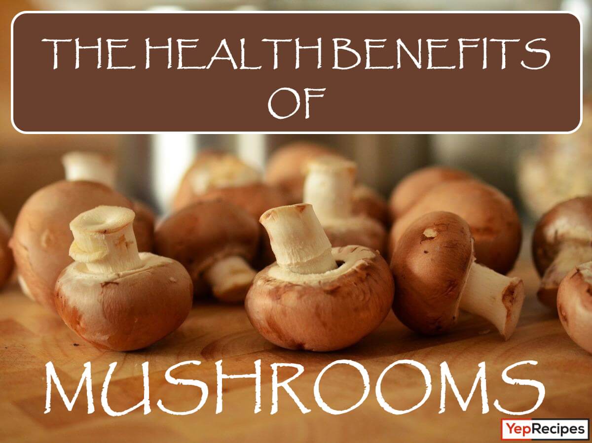 A Look at 6 Types of Mushrooms and Their Health Benefits | Kitchen ...