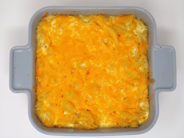 Baked Shells and Cheese