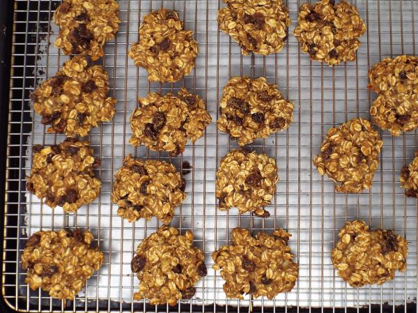 Chewy Greek Yogurt Oatmeal Cookies