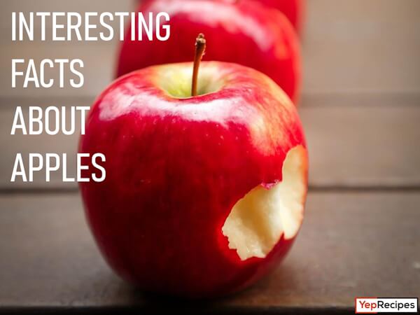 Apples: Interesting Facts, Benefits, and Varieties