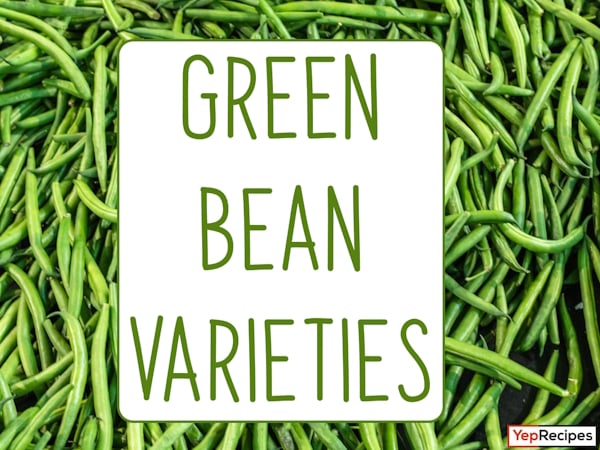 A World of Green Bean Varieties