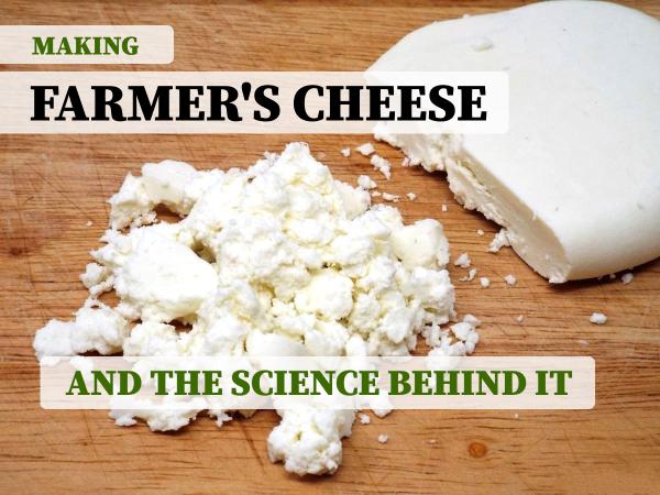 Making Farmer's Cheese at Home and the Science Behind It