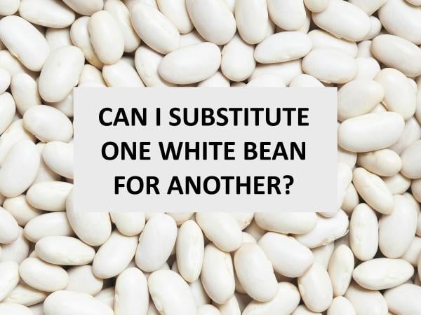 Types of White Beans and Can I Substitute One for Another?