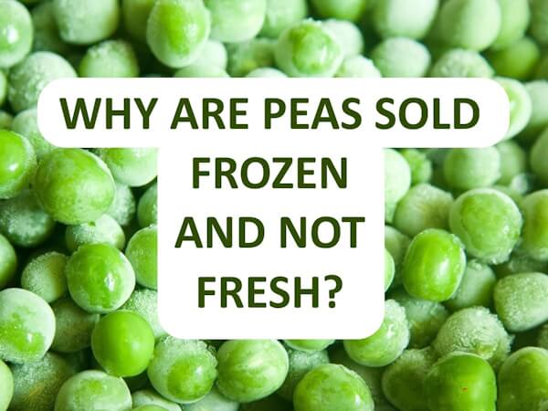 Why Are Green Peas Primarily Sold Frozen, Not Fresh?